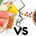 Pienso vs Comida natural
